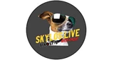 Skylos live