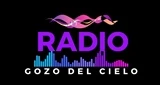 Radio Gozo Del Cielo