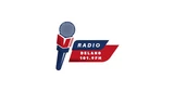 Radio Delano 101.9 Fm
