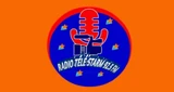 Radio Télé Des Stars 92.5 Fm