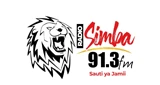 Radio Simba 91.3 FM