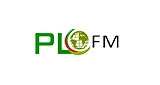 PLFM Radio