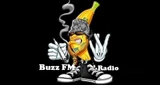 Buzz FM, Gżira