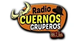 Radio Cuernos Gruperos 88.7 FM