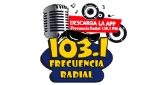Frecuencia Radial