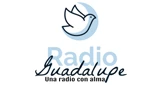 Radio Guadalupe, Puebla City