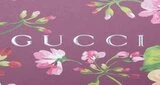 Gucci FM Radio