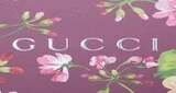 Gucci FM Radio
