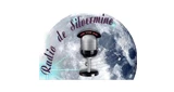 Radio de Silvermine