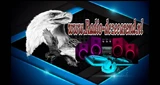 Radio-Dezeearend
