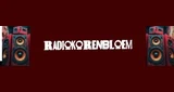radiokorenbloem