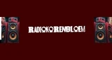 radiokorenbloem