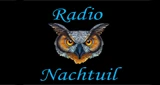 Radionachtuil