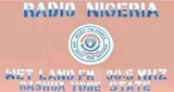 Wetland FM 90.5 Gashua