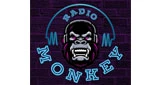 Monkey radio