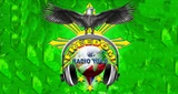 Freedom Online