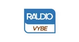 Raudio VYBE