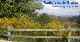 Radio Voz de Gracia - Puerto Rico