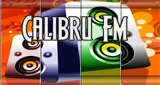 Calibru Fm