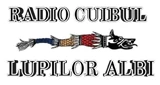 Radio Cuibul Lupilor Albi