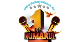 Radio Manele, Voluntari