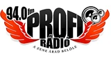 Profi Radio