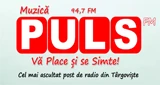 Radio Puls 94.7 FM