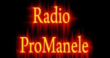 Radio Pro Manele