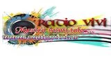 Radio Vivi.Fm
