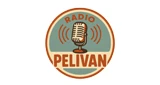 Radio Pelivan