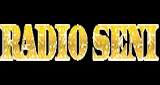 Radio Seni