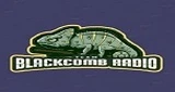 Blackcomb Radio