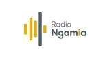 Radio Ngamia