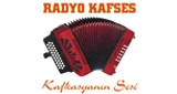 Radyo Kafses