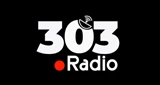 Channel 303 FM