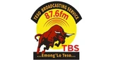TBS FM  The Bull