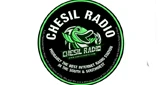 Chesil Radio