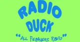 Radio Duck