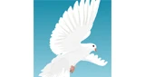 VICTORY4CHRIST  RADIO