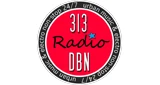 313 DBN Radio