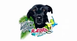 Boston's Best Radio
