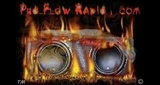 Pro Flow Radio