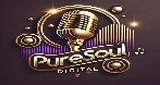 PureSoul Digital (R&B/Soul)