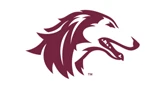 Southern Illinois Salukis Sports Network