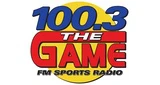 100.3 The Team