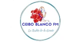 Ceibo Blanco FM, Treinta y Tres