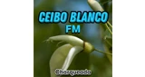 Ceibo Blanco FM, Treinta y Tres