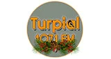 Turpial